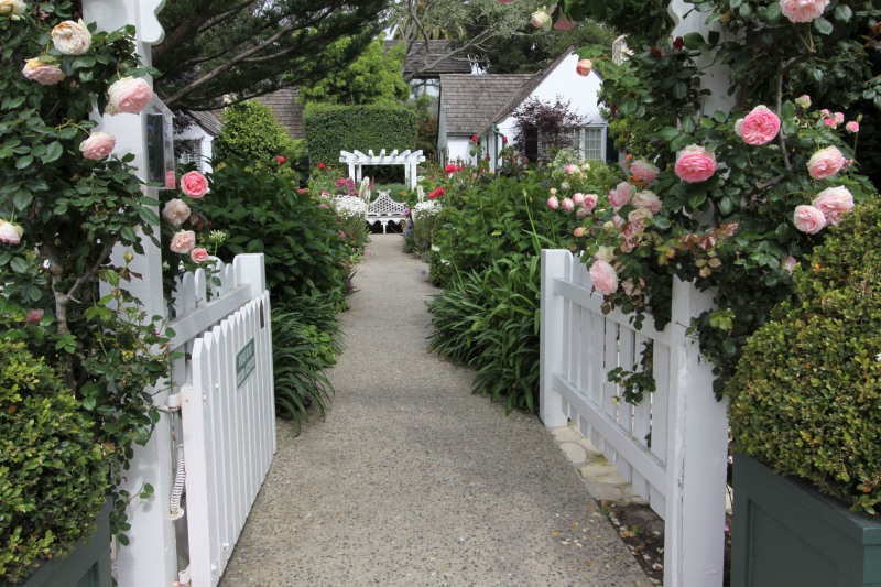 lincoln-green-inn-gardens-cottages-june-2023-02