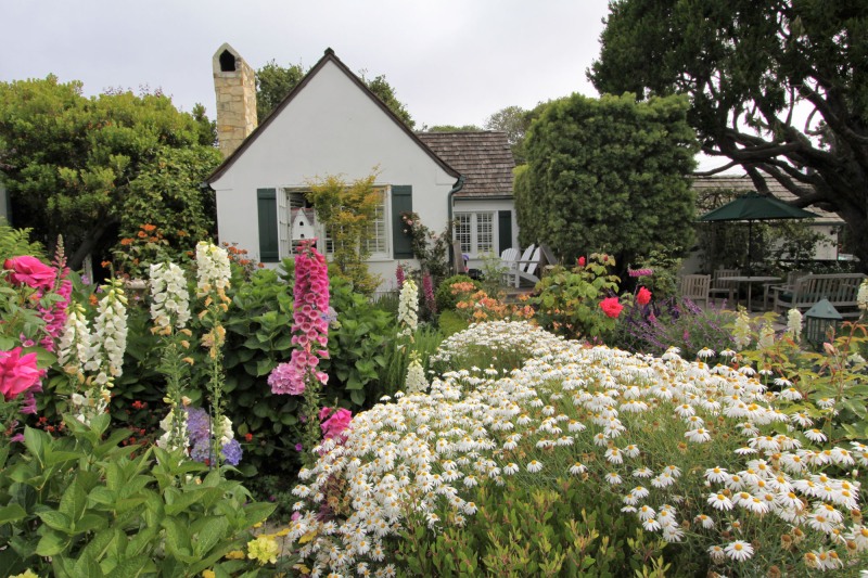 lincoln-green-inn-gardens-cottages-june-2023-14