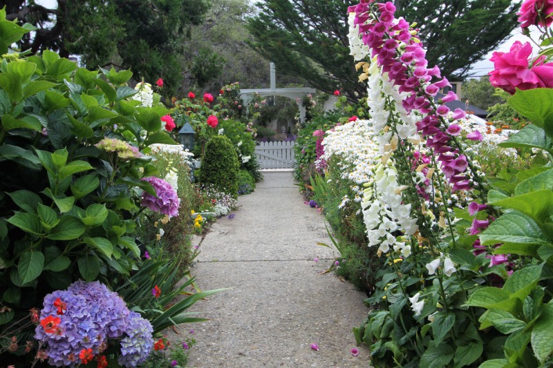 lincoln-green-inn-gardens-cottages-june-2023-20