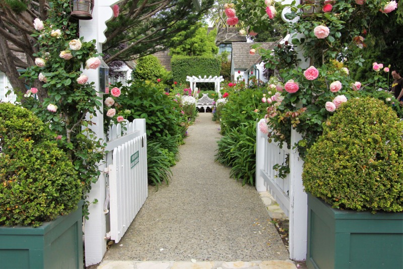 lincoln-green-inn-gardens-cottages-june-2023-30